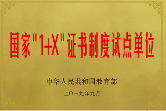 09国家“1+X”证书制度试点单位.png