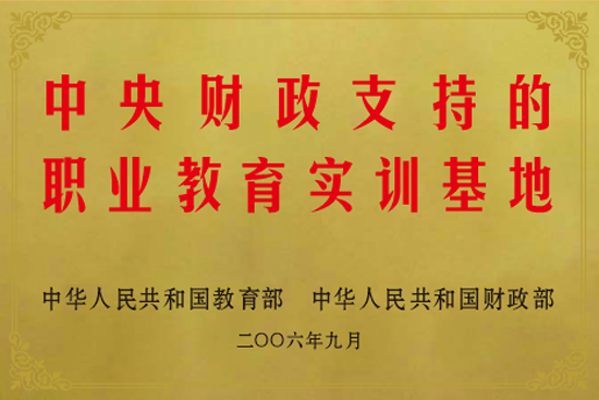 03中央财政支持的职业教育实训基地.png